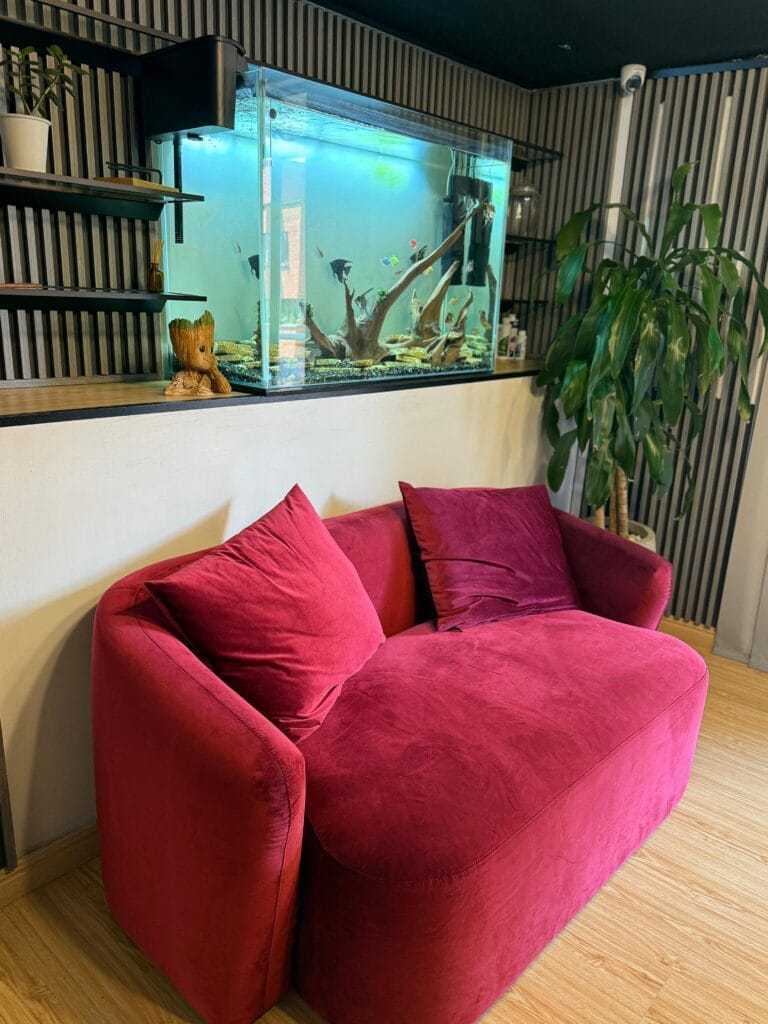 Imagen de las instalaciones profesionales de Soul Studio, el mejor estudio webcam en Laureles, Medellín, para mujeres que buscan ser modelo webcam en un ambiente seguro y de lujo.